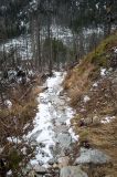 Vysoké tatry
